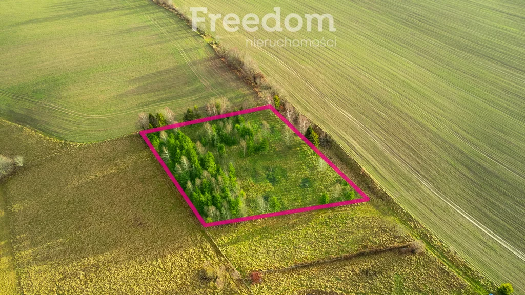 Działka 3 987,00 m², oferta nr , 10278/3685/OGS, Klonowo Górne, Świerkowa