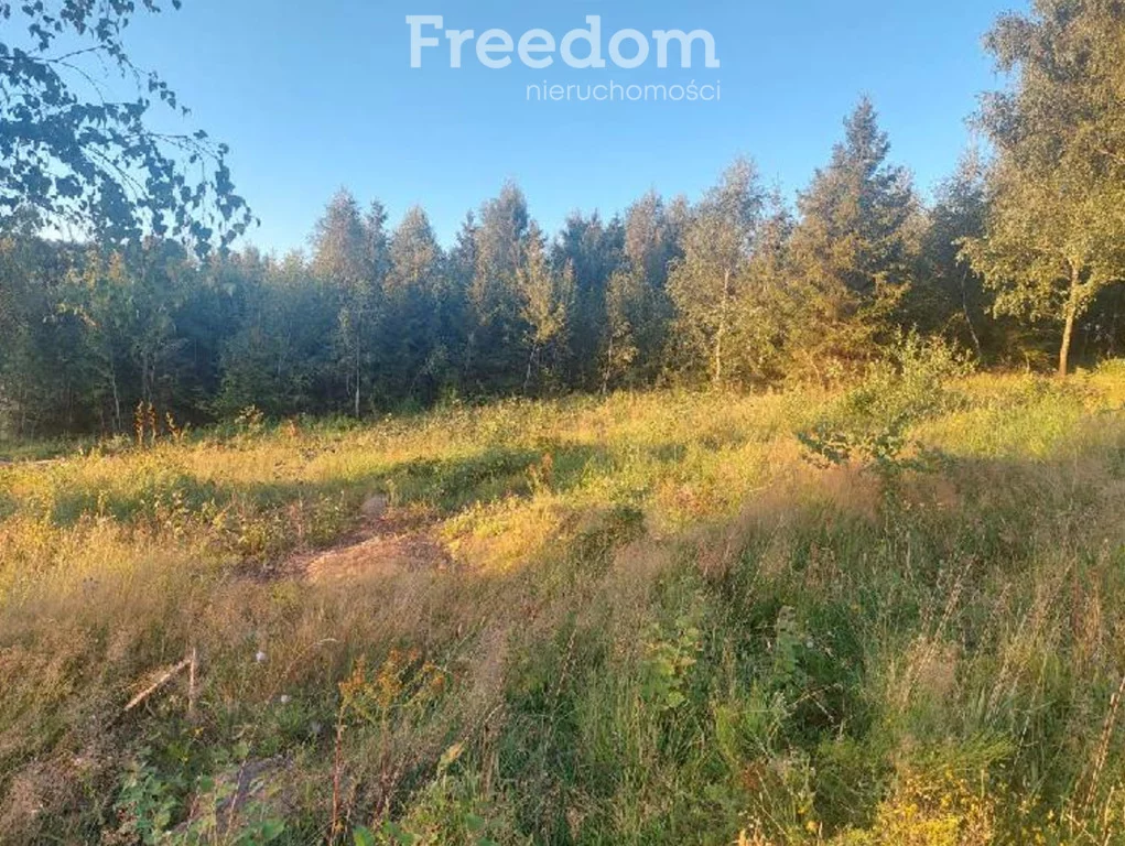 Działka 3 987,00 m², oferta nr , 10278/3685/OGS, Klonowo Górne, Świerkowa
