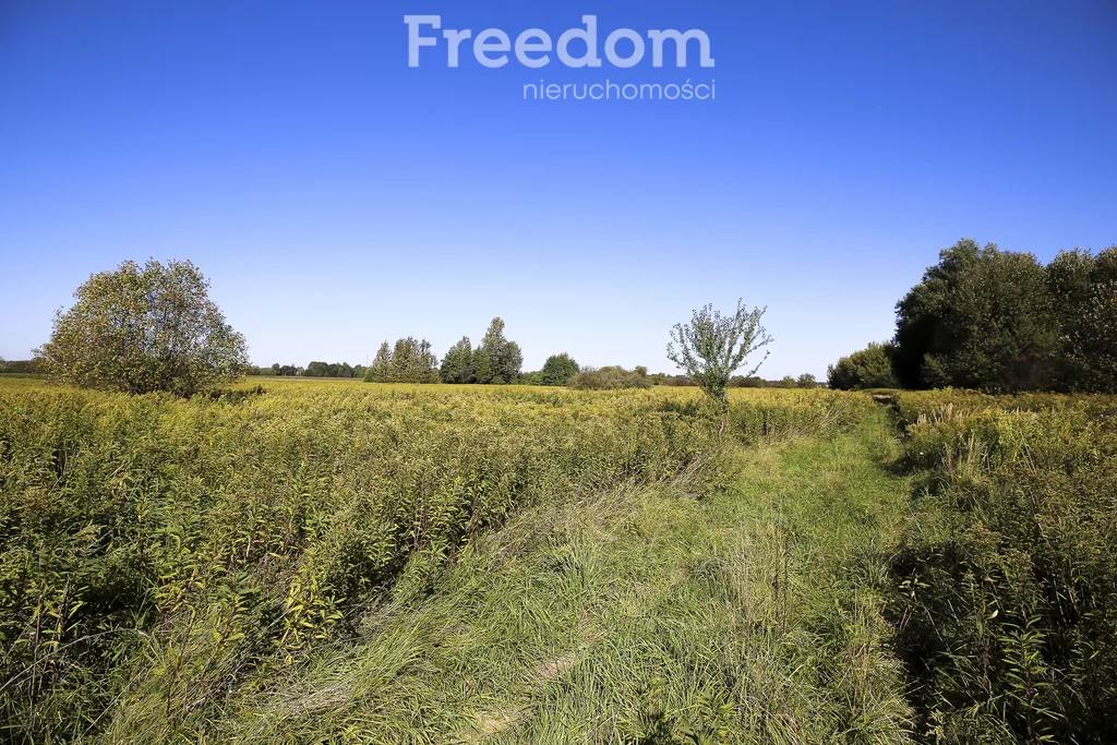 Działka 12 900,00 m², oferta nr , 11352/3685/OGS, Świlcza