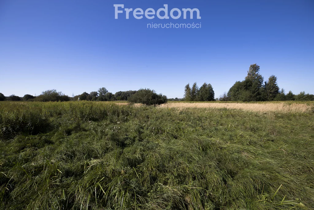 Działka 12 900,00 m², oferta nr , 11352/3685/OGS, Świlcza