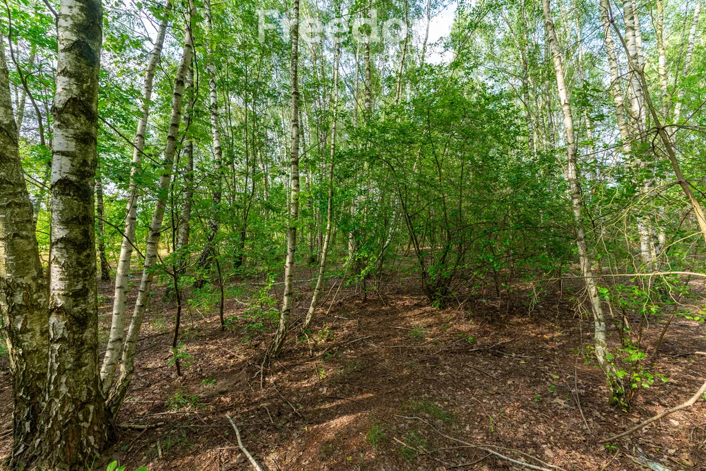 Działka 25 812,00 m², oferta nr , 11169/3685/OGS, Kotorydz, Szczakoska