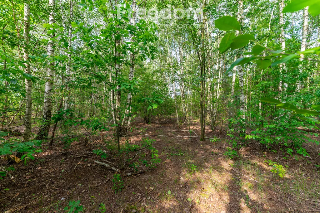 Działka 25 812,00 m², oferta nr , 11169/3685/OGS, Kotorydz, Szczakoska