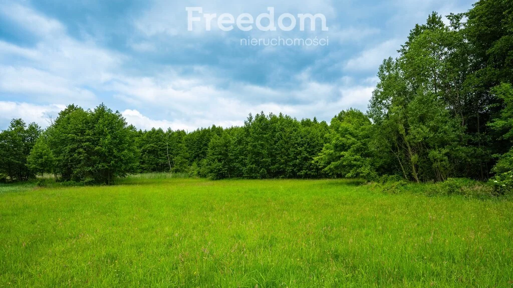 Działka 2 615,00 m², oferta nr , 10800/3685/OGS, Szczawin