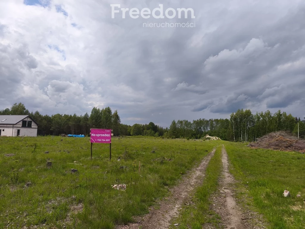 Działka 3 002,00 m², oferta nr , 10730/3685/OGS, Szczebra