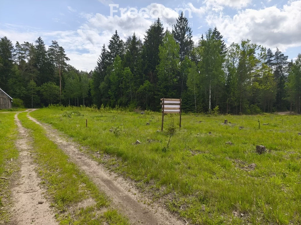 Działka 3 002,00 m², oferta nr , 10730/3685/OGS, Szczebra