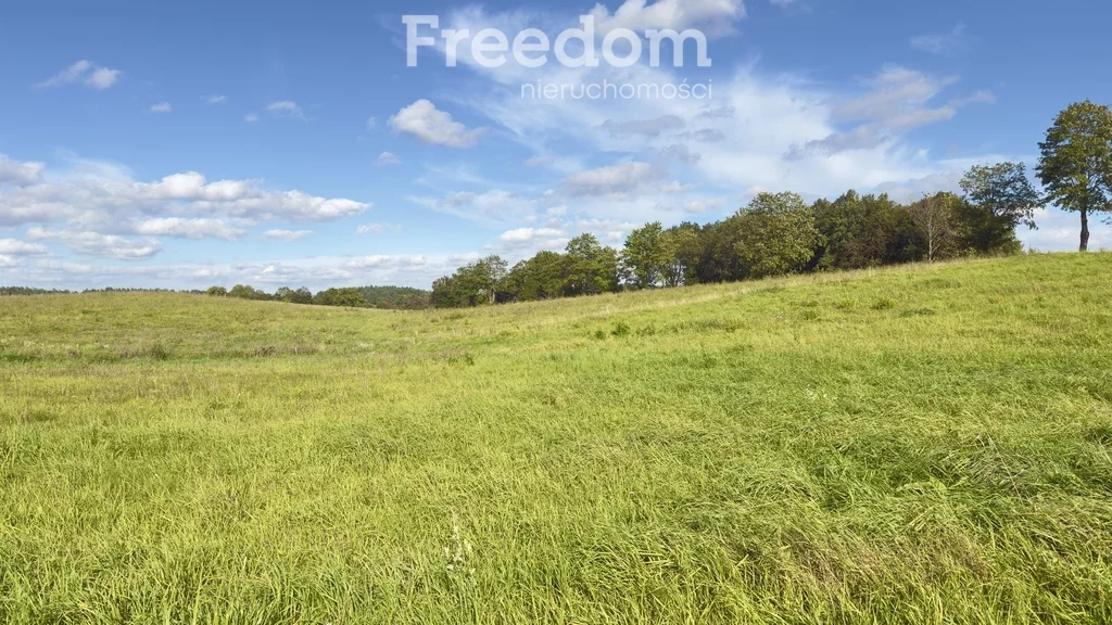 Działka 1 515,00 m², oferta nr , 10162/3685/OGS, Szczybały Giżyckie
