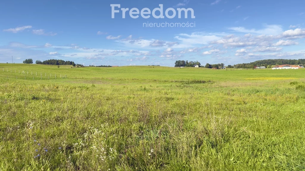 Działka 1 515,00 m², oferta nr , 10162/3685/OGS, Szczybały Giżyckie