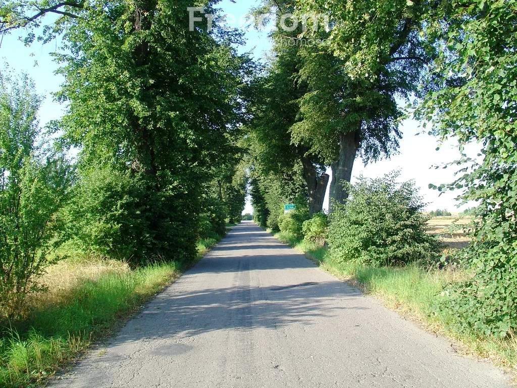 10368/3685/OGS - zdjęcie nr 3