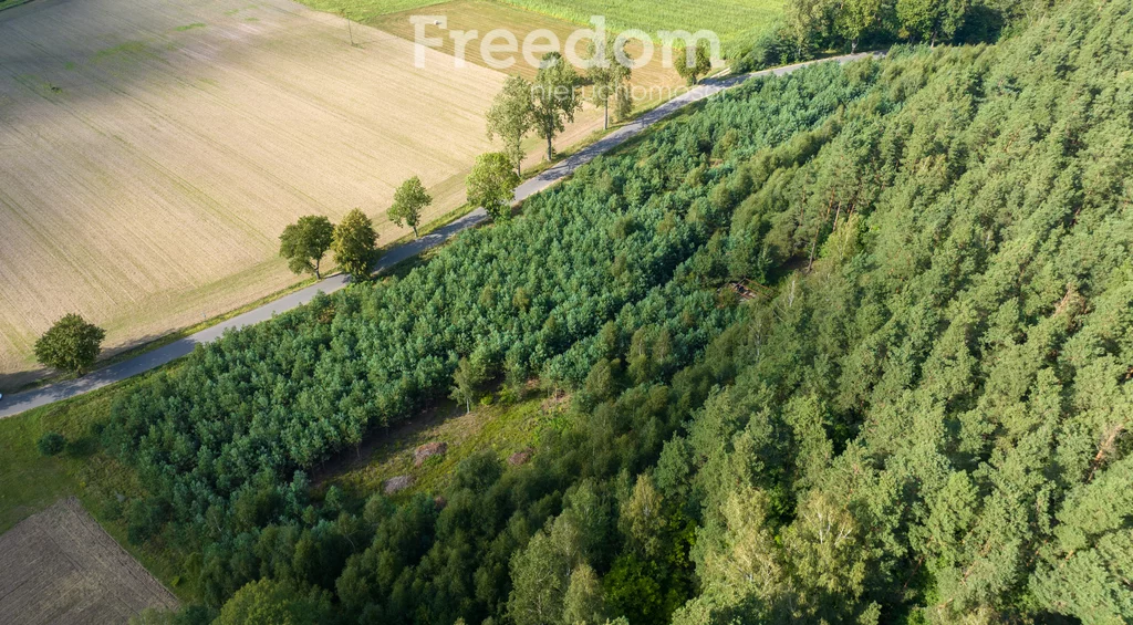 Działka 8 174,00 m², oferta nr , 8580/3685/OGS, Szymany