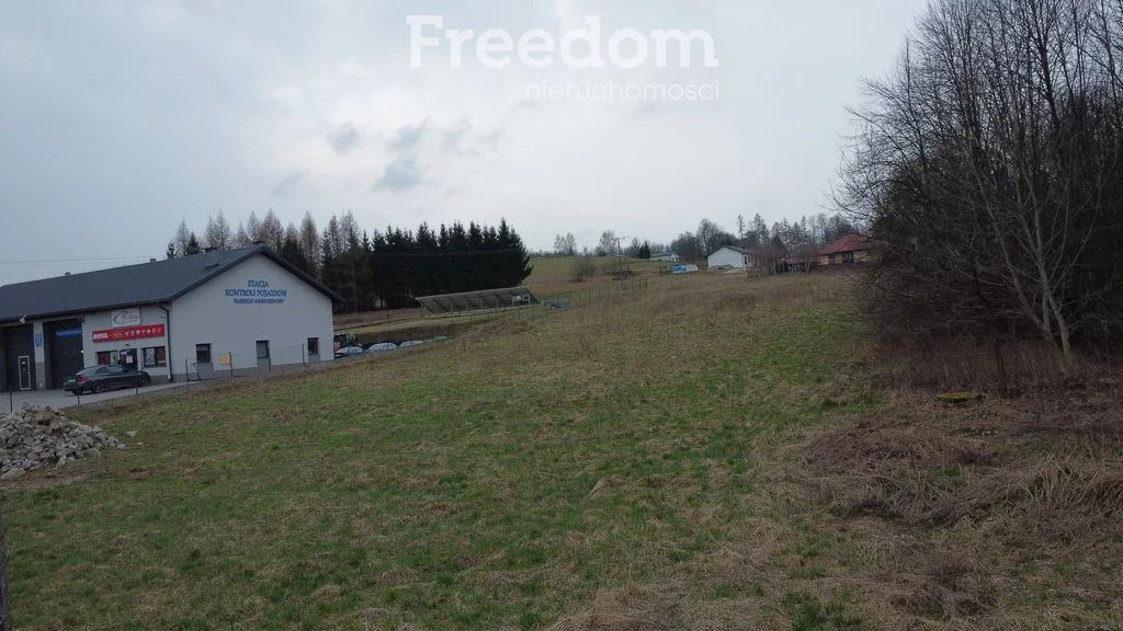 10275/3685/OGS - zdjęcie nr 3