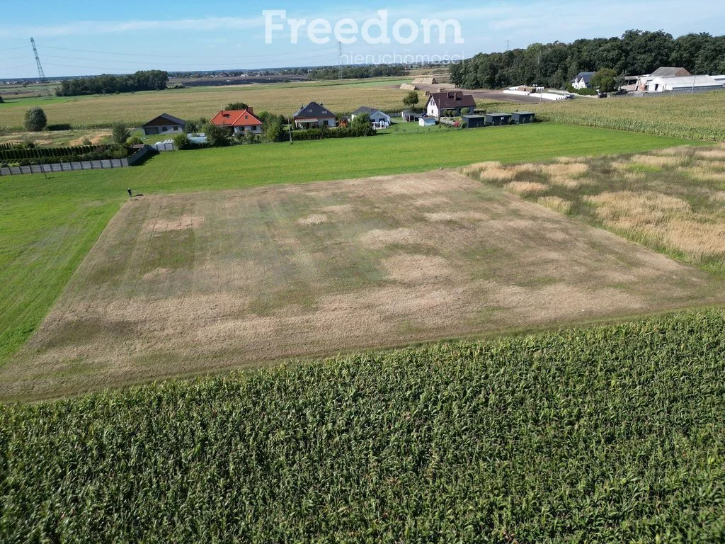 Działka 3 275,00 m², oferta nr , 7048/3685/OGS, Tarnowo Podgórne