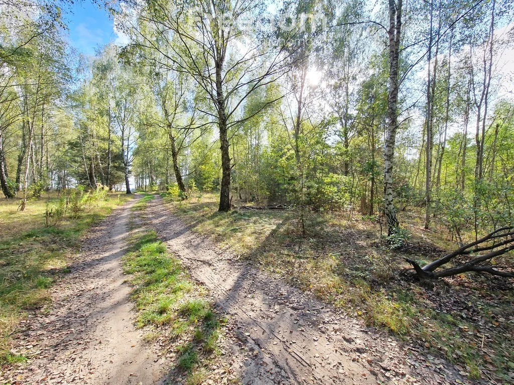 Działka 8 849,00 m², oferta nr , 11438/3685/OGS, Biała Podlaska, Terebelska