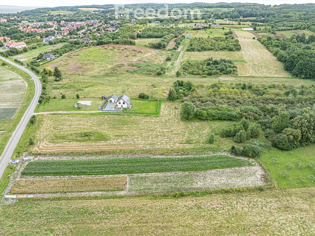 11168/3685/OGS - zdjęcie nr 1