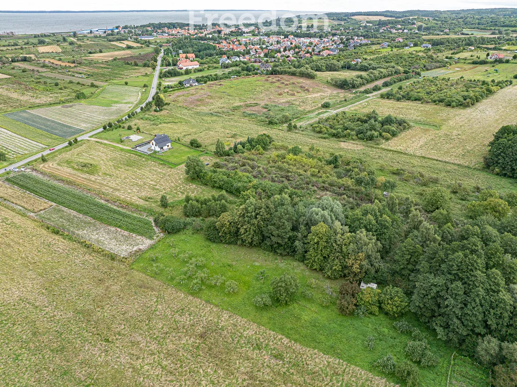 11168/3685/OGS - zdjęcie nr 2