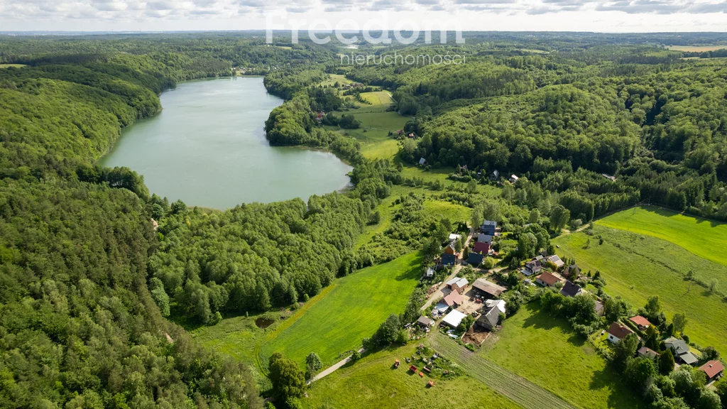 10746/3685/OGS - zdjęcie nr 3