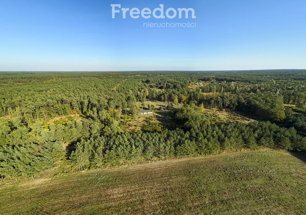 Działka 16 398,00 m², oferta nr , 9007/3685/OGS, Trzaskowo
