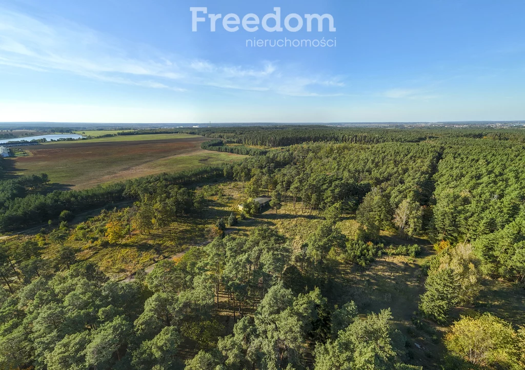 Działka 16 398,00 m², oferta nr , 9007/3685/OGS, Trzaskowo