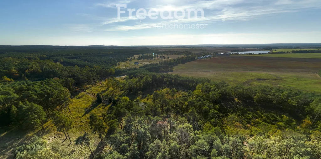 Działka 16 398,00 m², oferta nr , 9007/3685/OGS, Trzaskowo
