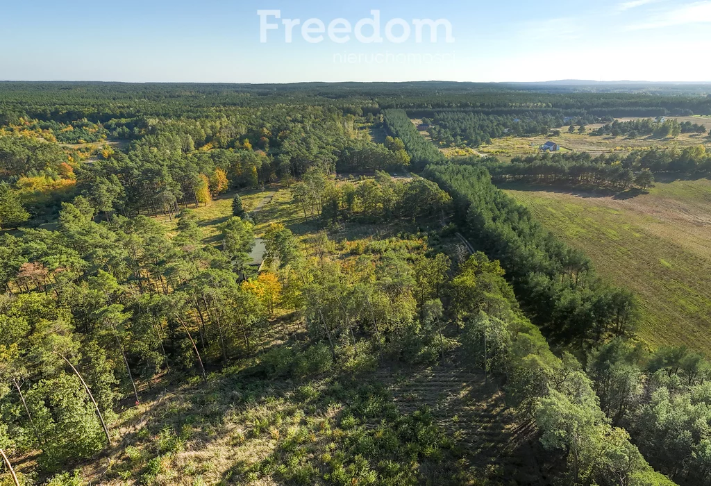 Działka 16 398,00 m², oferta nr , 9007/3685/OGS, Trzaskowo