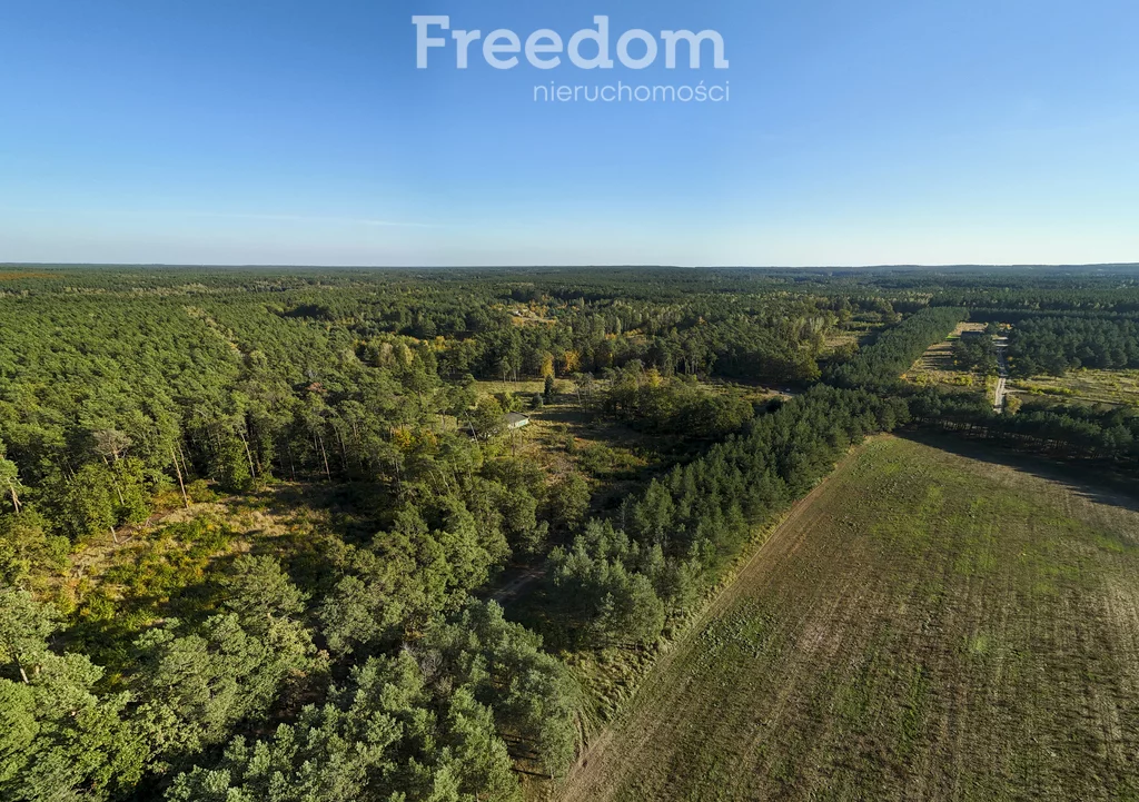 Działka 16 398,00 m², oferta nr , 9007/3685/OGS, Trzaskowo