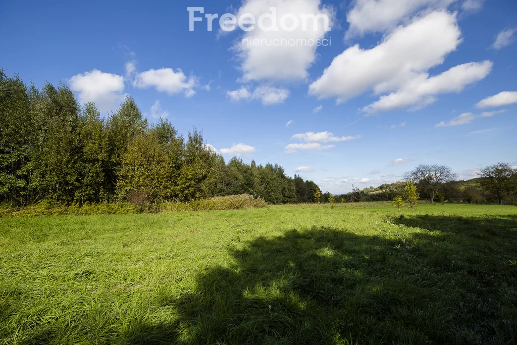 Działka 3 072,00 m², Trzciana, Sprzedaż