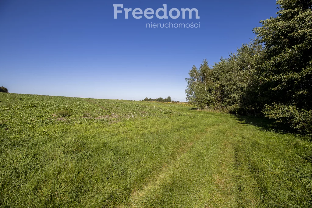 Działka 1 500,00 m², oferta nr , 11353/3685/OGS, Trzciana