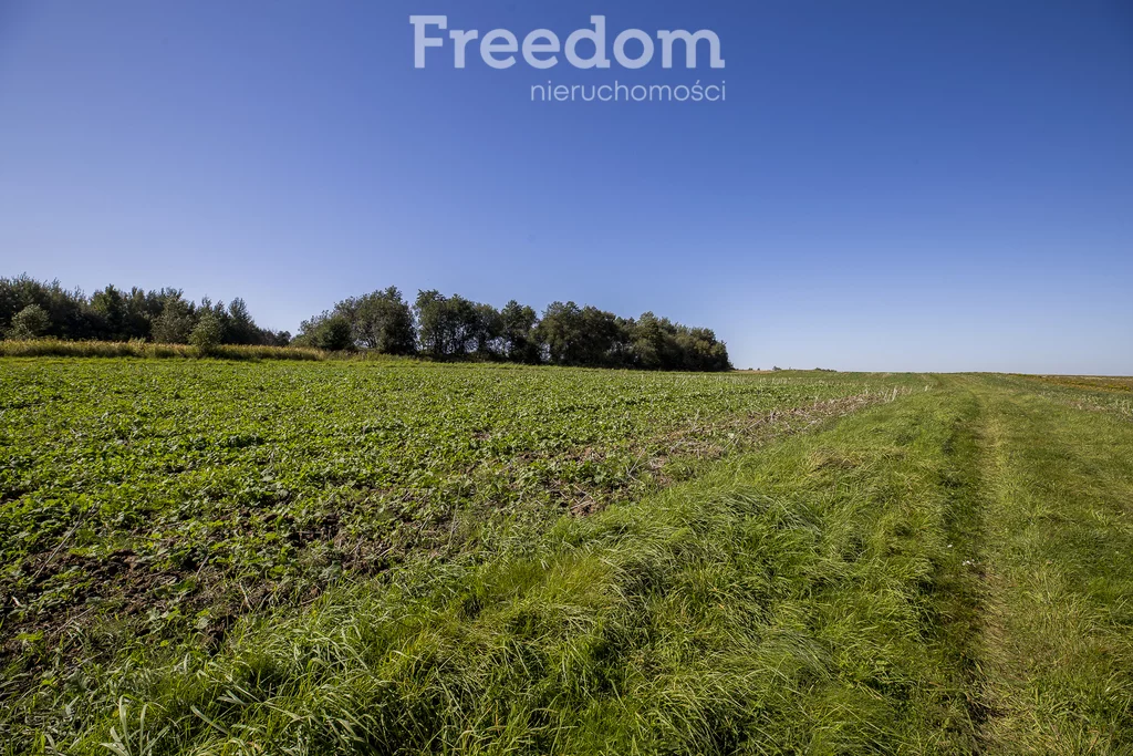 Działka 1 500,00 m², oferta nr , 11353/3685/OGS, Trzciana