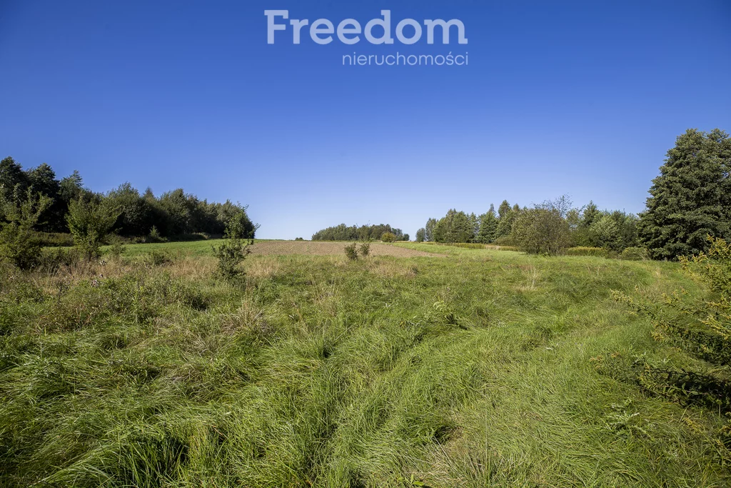 Działka 1 500,00 m², oferta nr , 11353/3685/OGS, Trzciana