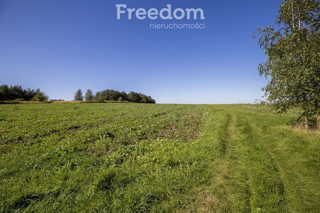Działka 1 500,00 m², oferta nr , 11353/3685/OGS, Trzciana