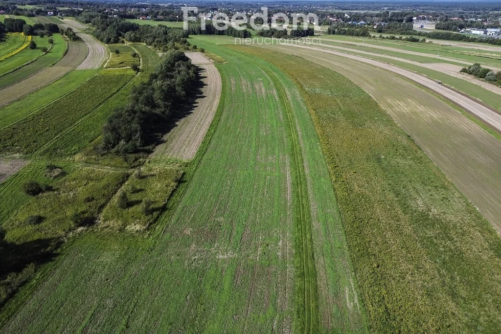 Działka 1 500,00 m², oferta nr , 11353/3685/OGS, Trzciana