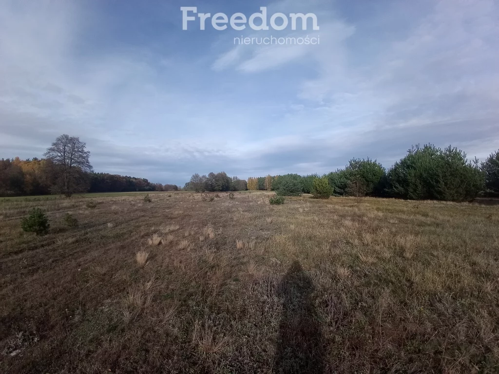 Działka 802,00 m², oferta nr , 10064/3685/OGS, Trzęśniew