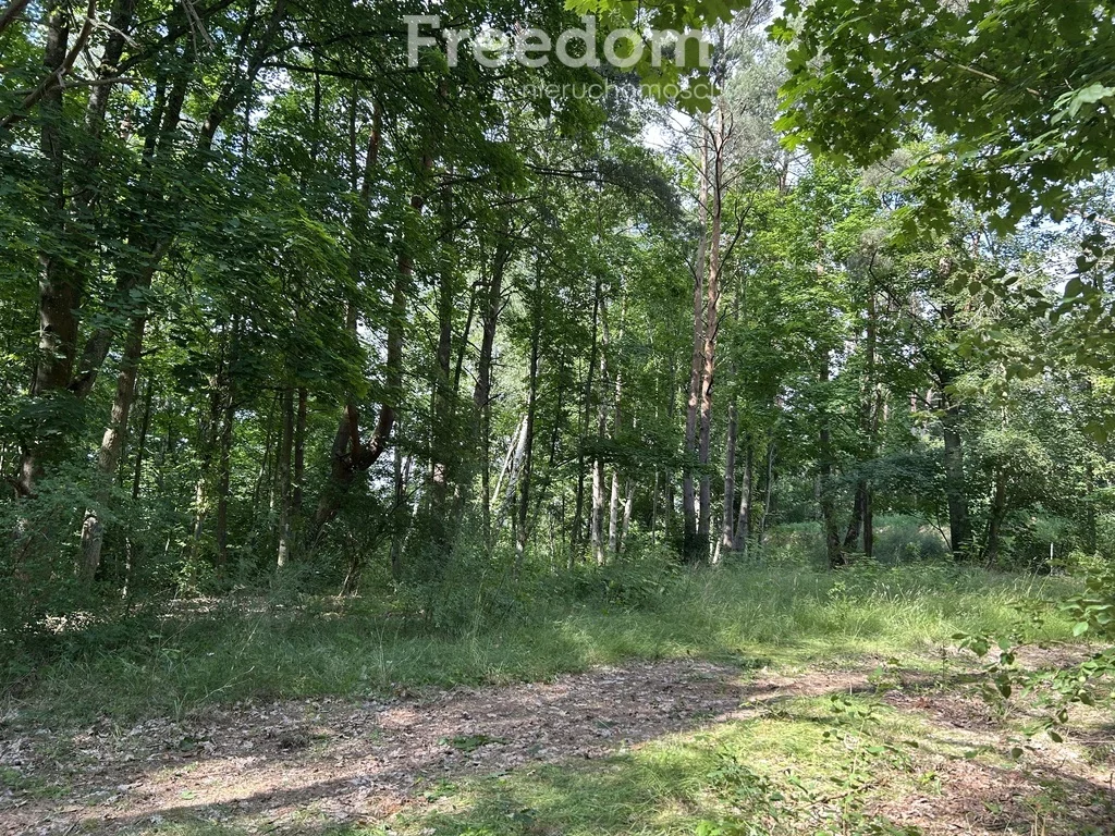 Apartamenty 11366/3685/OGS Tuczno
