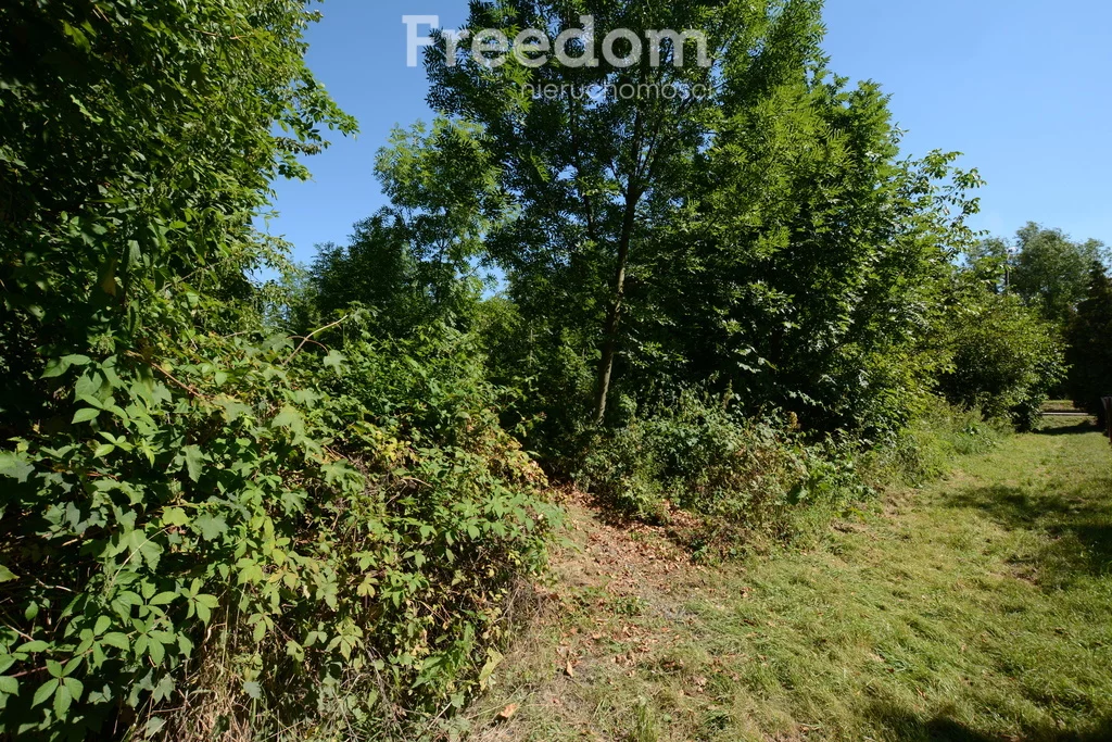 Działka 2 917,00 m², oferta nr , 11134/3685/OGS, Wadowice