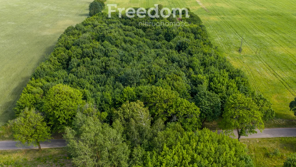 Działka 2 250,00 m², oferta nr , 10960/3685/OGS, Waszulki
