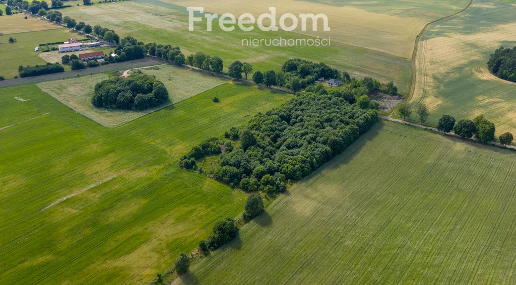 Działka 3 350,00 m², oferta nr , 10959/3685/OGS, Waszulki
