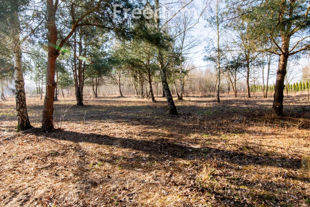 10169/3685/OGS - zdjęcie nr 2