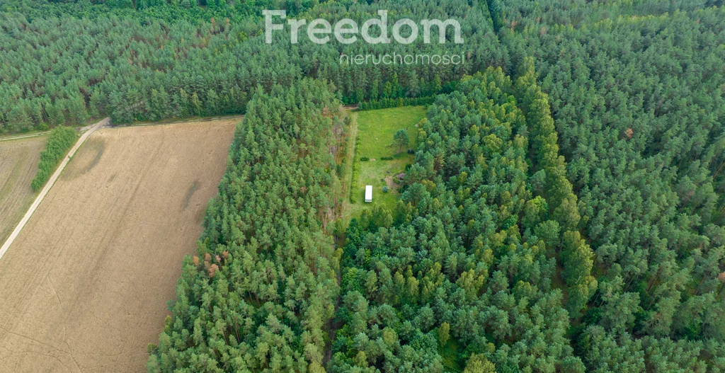 Działka 4 586,00 m², oferta nr , 11087/3685/OGS, Więckowo