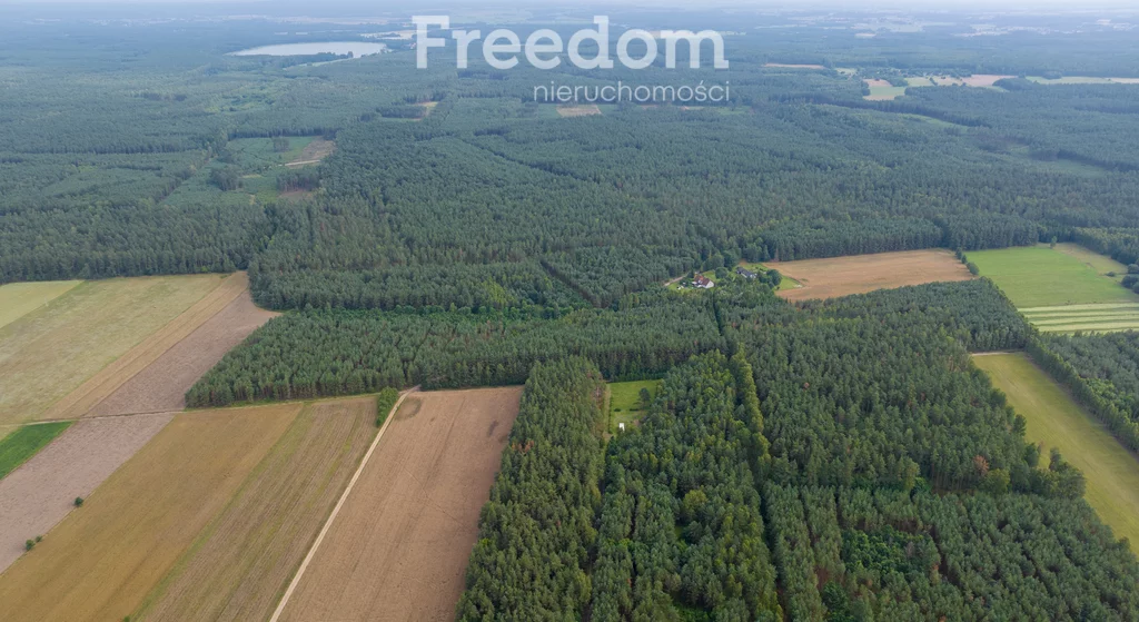 Działka 4 586,00 m², oferta nr , 11087/3685/OGS, Więckowo
