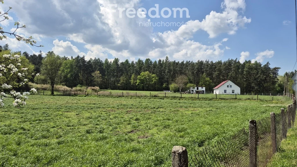 Działka 14 348,00 m², oferta nr , 10417/3685/OGS, Niezdrowice, Wiejska