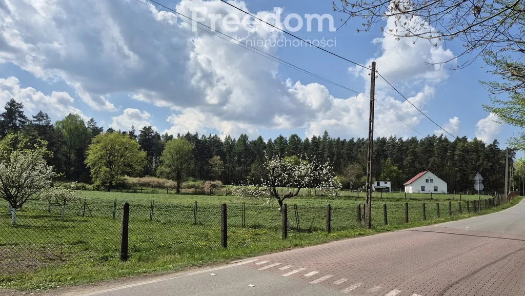 Działka 14 348,00 m², oferta nr , 10417/3685/OGS, Niezdrowice, Wiejska