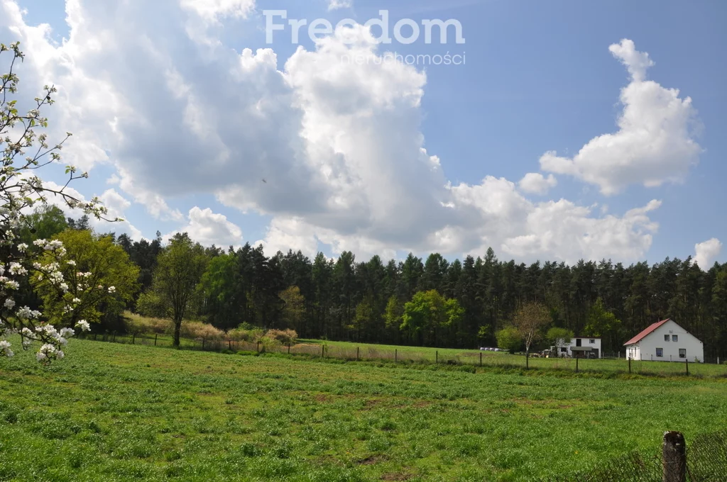 Działka 14 348,00 m², oferta nr , 10417/3685/OGS, Niezdrowice, Wiejska
