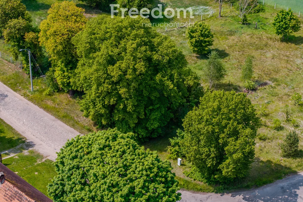 Działka 4 300,00 m², oferta nr , 10602/3685/OGS, Wielboki