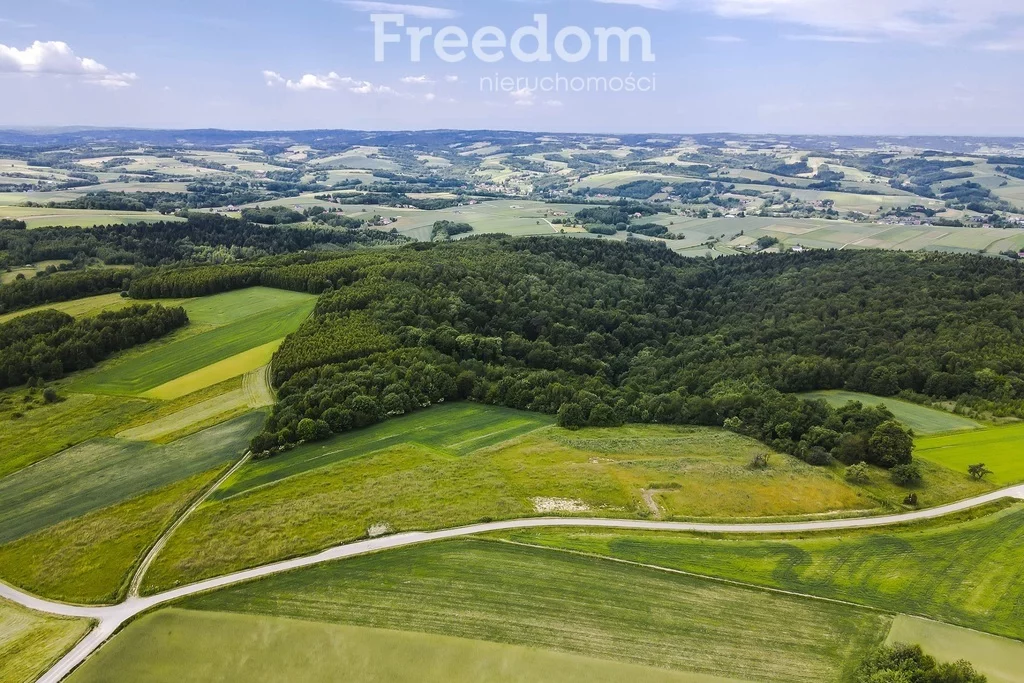 Działka 12 400,00 m², Wielopole Skrzyńskie, Sprzedaż