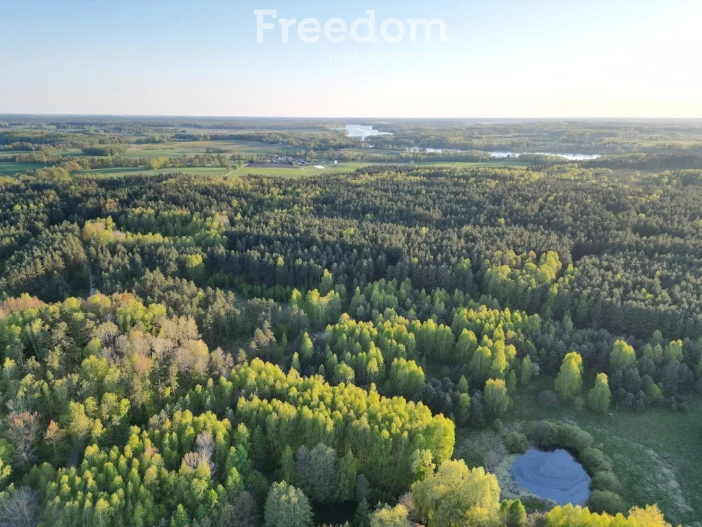 Działka 3 284,00 m², oferta nr , 8507/3685/OGS, Wielowieś