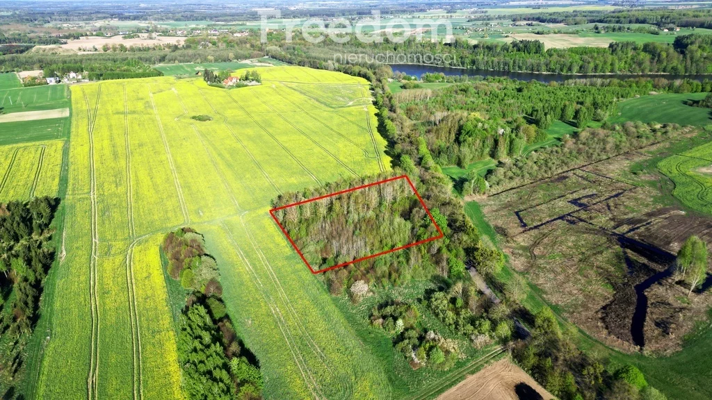 Działka 8 866,00 m², oferta nr , 10233/3685/OGS, Wielowieś