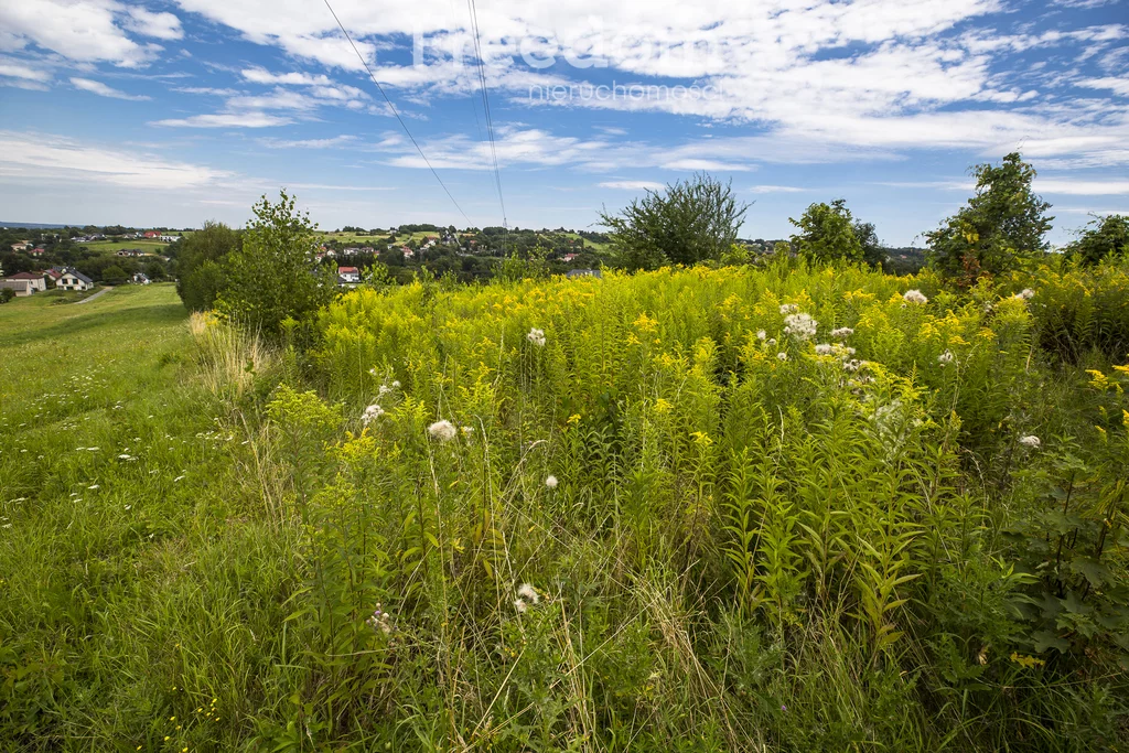 Działka 7 132,00 m², oferta nr , 11277/3685/OGS, Rzeszów, Zalesie, Wierchowa