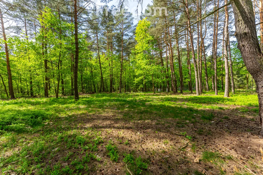 Apartamenty 11231/3685/OGS Złotokłos Wierzbowa