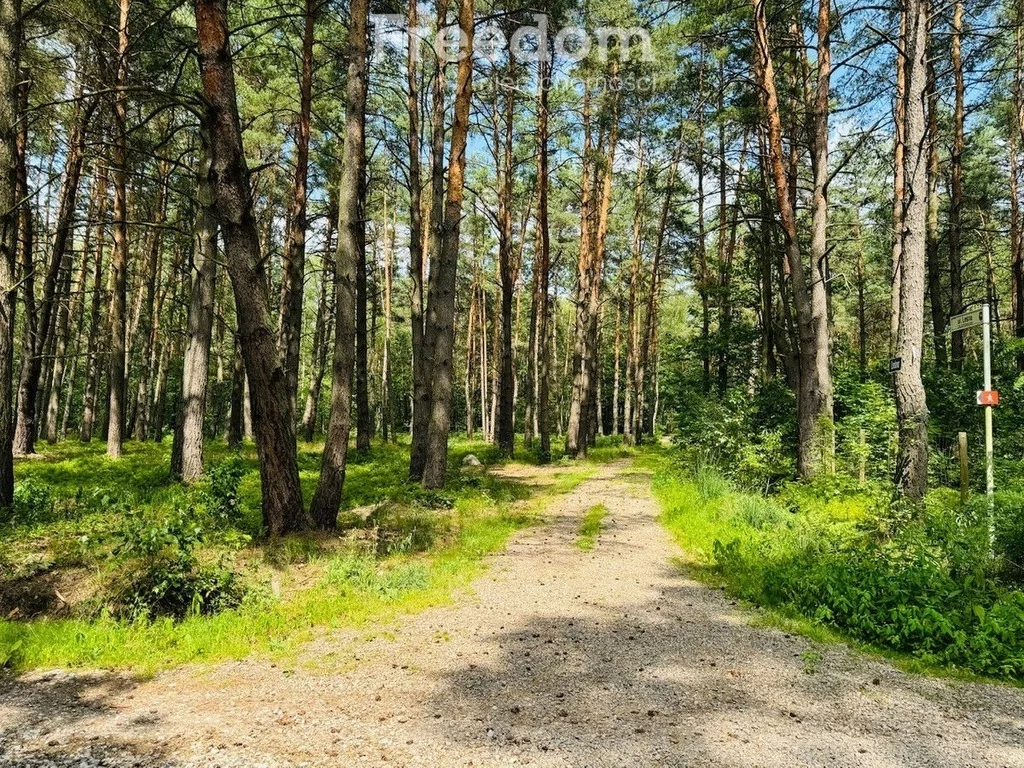 Działka 4 200,00 m², oferta nr , 11231/3685/OGS, Złotokłos, Wierzbowa