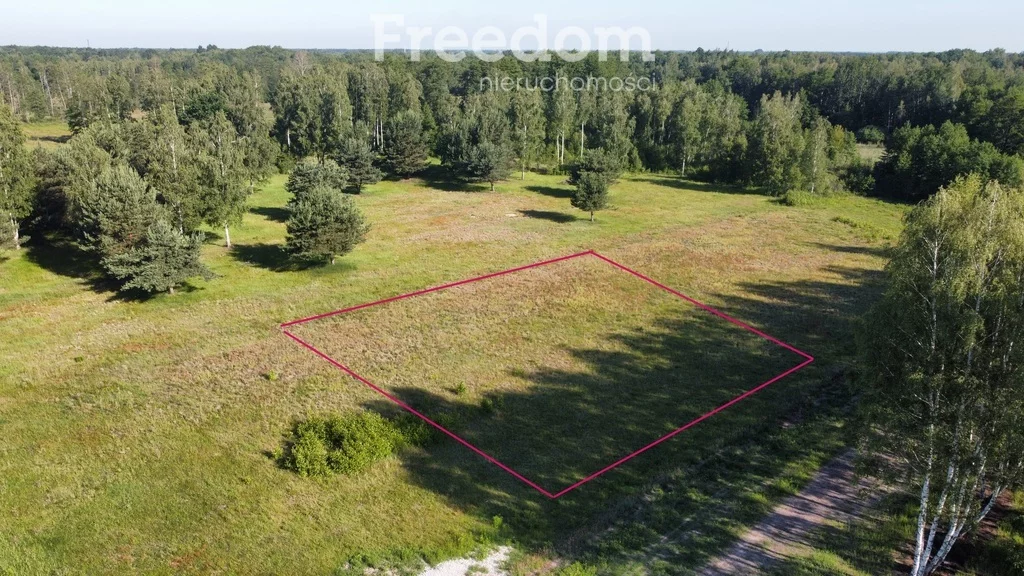 Apartamenty 10757/3685/OGS Stare Budy Radziejowskie Wierzby