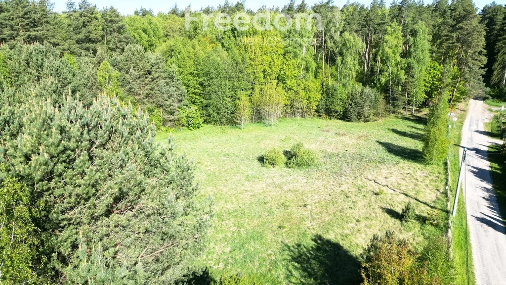 10971/3685/OGS - zdjęcie nr 0